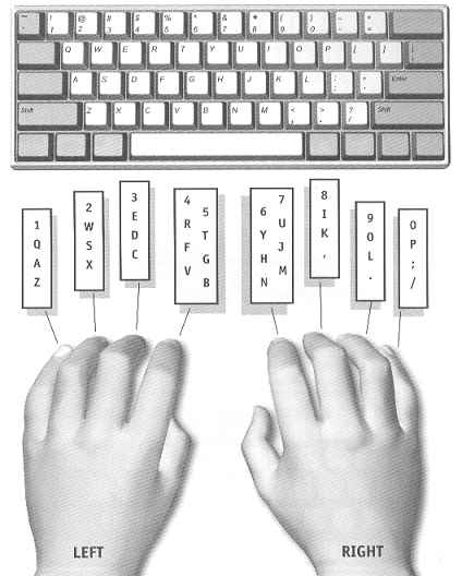 Typing Fingers Position