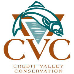 Logo-CVC.jpg