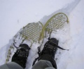 Snowshoes-wood-1.jpg